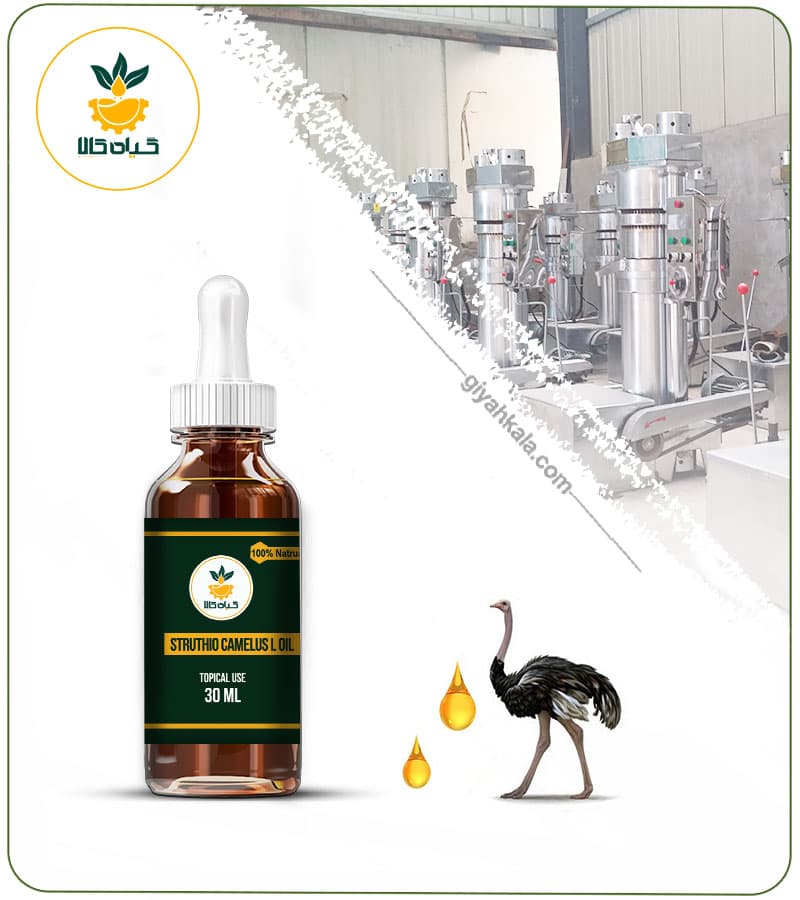 روغن شترمرغ برای درد مفاصل