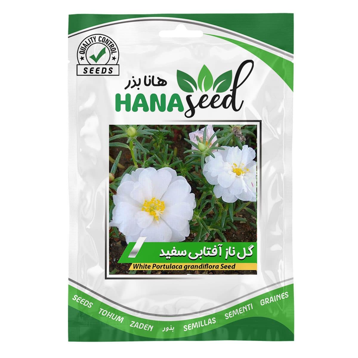 بذر گل ناز آفتابی سفید