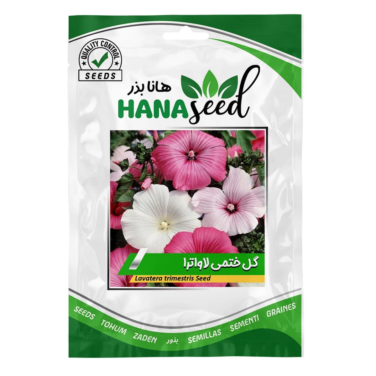 بذر گل ختمی لاوترا