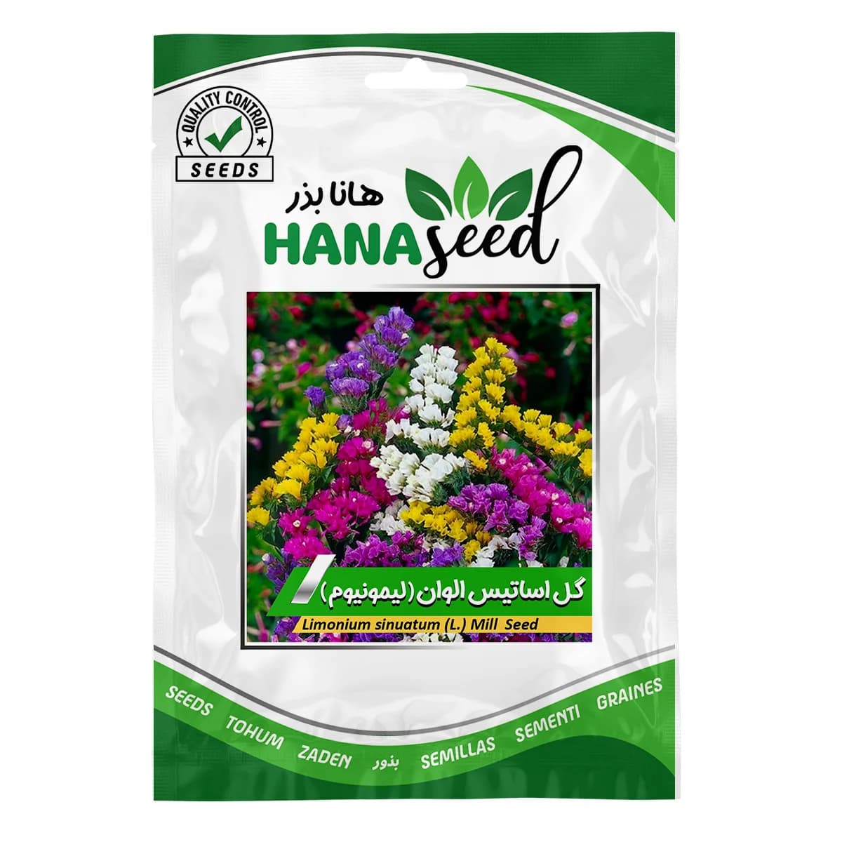 بذر گل استاتیس الوان (لیمونیوم)