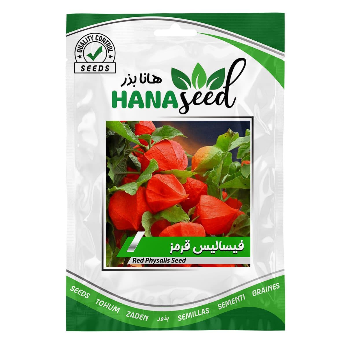 بذر فیسالیس قرمز (عروسک پشت پرده)