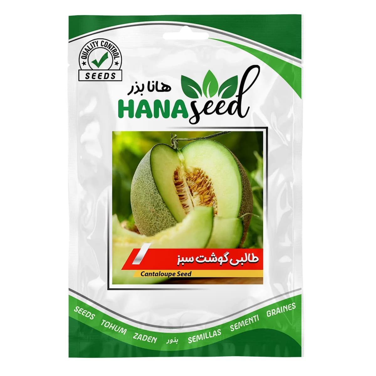 بذر طالبی گوشت سبز — تصویر ۳