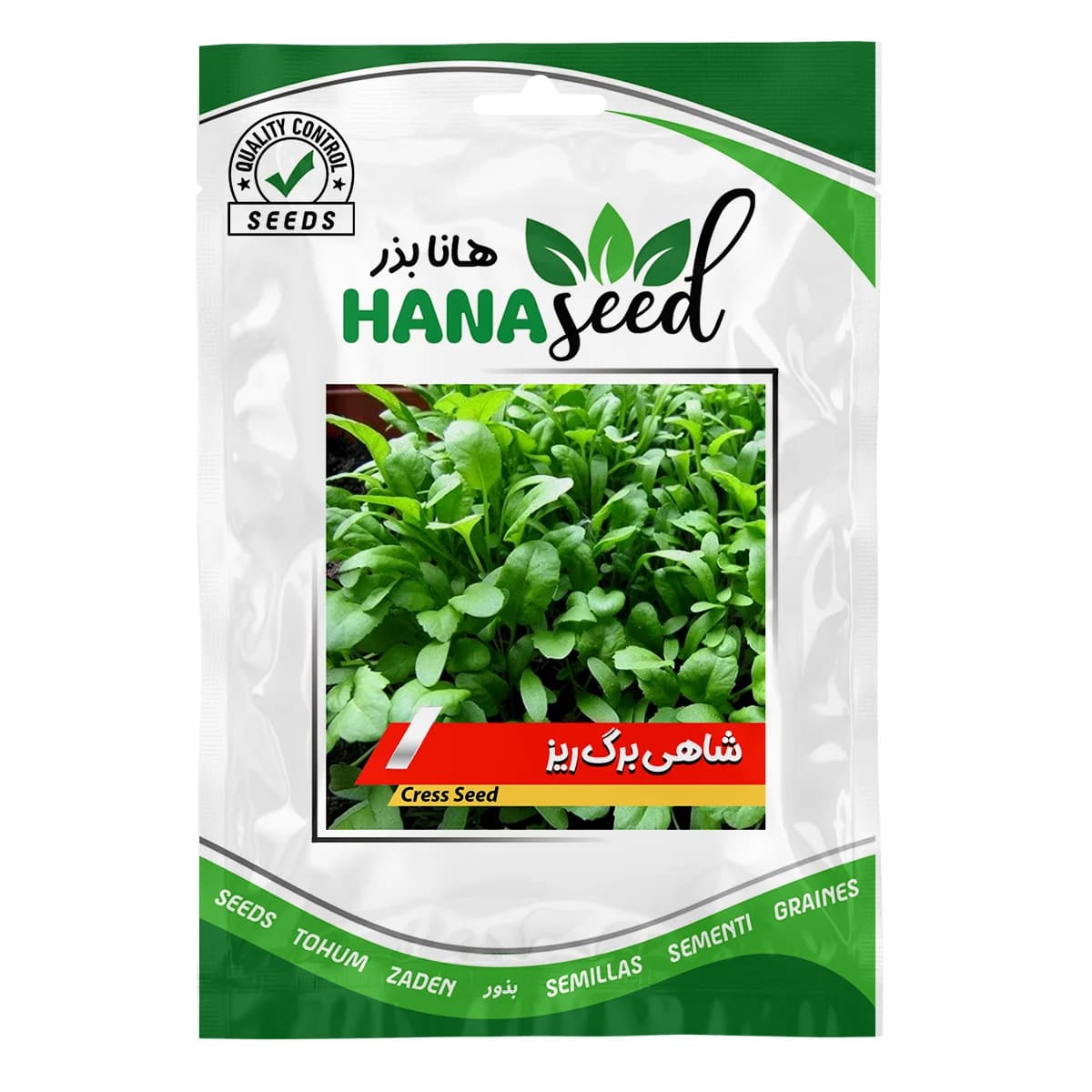 بذر شاهی برگ ریز — تصویر ۲