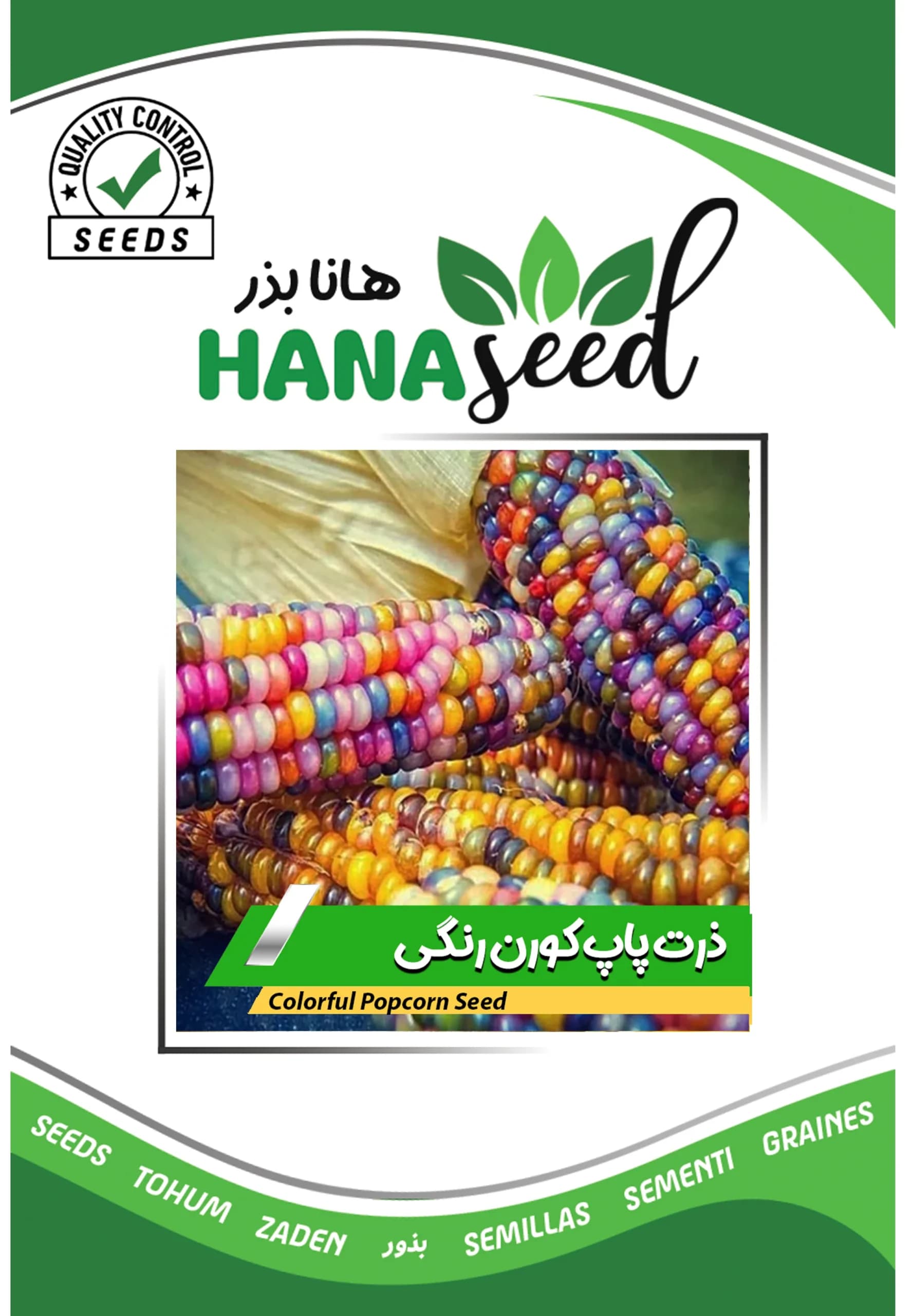 بذر ذرت پاپ کورن رنگی