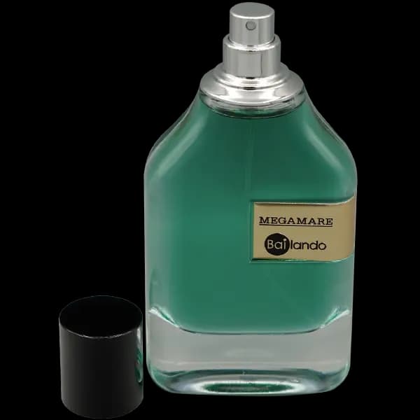 ادو پرفیوم بایلندو مدل مگاماره MEGAMARE حجم 100 میلی لیتر — تصویر ۴
