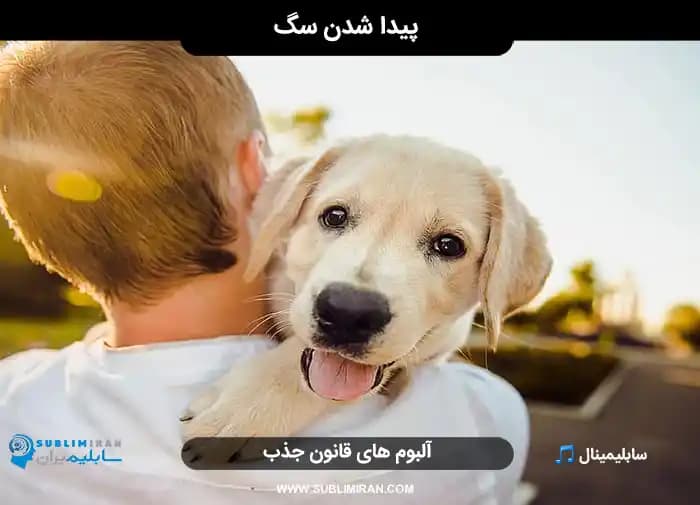 پیدا کردن سگ گمشده