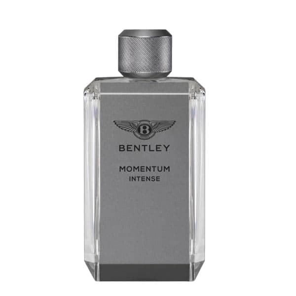 بنتلی مومنتوم اینتنس Bentley Momentum Intense — تصویر ۳