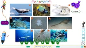 پاورپوینت درس 17 فارسی و نگارش پایه اول دبستان (ابتدائی): « صدایِ موج » نشانه ی « صـ ص » (با هم بخوانیم: دریا) — تصویر ۲