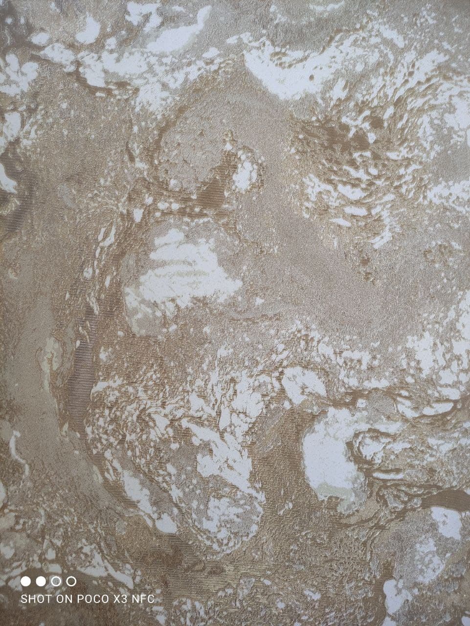 کاغذ دیواری مونیکا کد ۸۸۱۸۱۵ monica