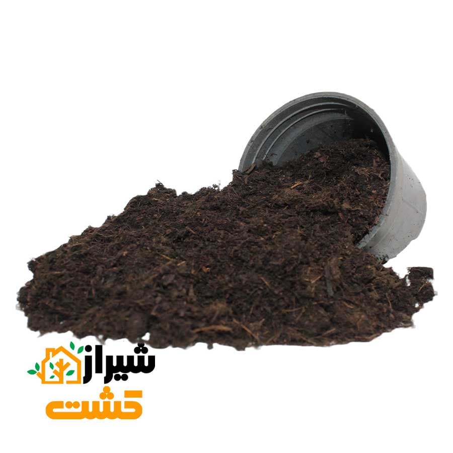 پیت ماس پینداستراپ دانمارک — تصویر ۲