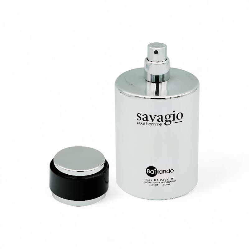 ادکلن مردانه بایلندو مدل ساواجیو (SAVAGIO) حجم 100 میل — تصویر ۳