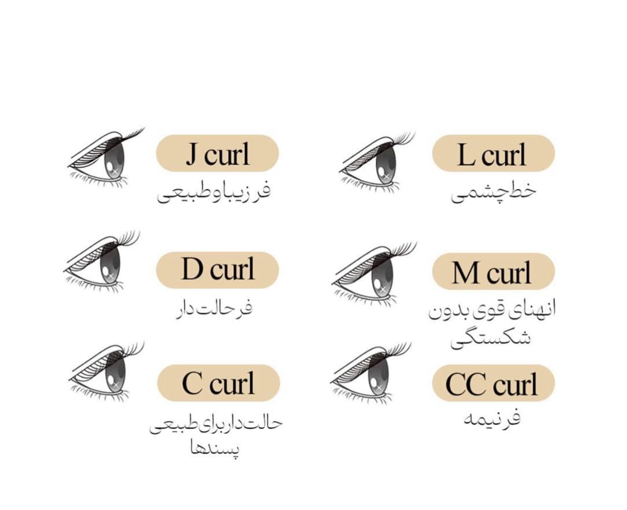 پالت مژه مشکی دلوکس — تصویر ۸