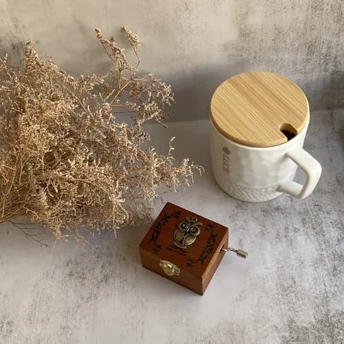 جعبه موزیکال چوبی هندلی کلاسیک- آهنگ بیکلام let it be – در 10 طرح قابل انتخاب — تصویر ۱۲