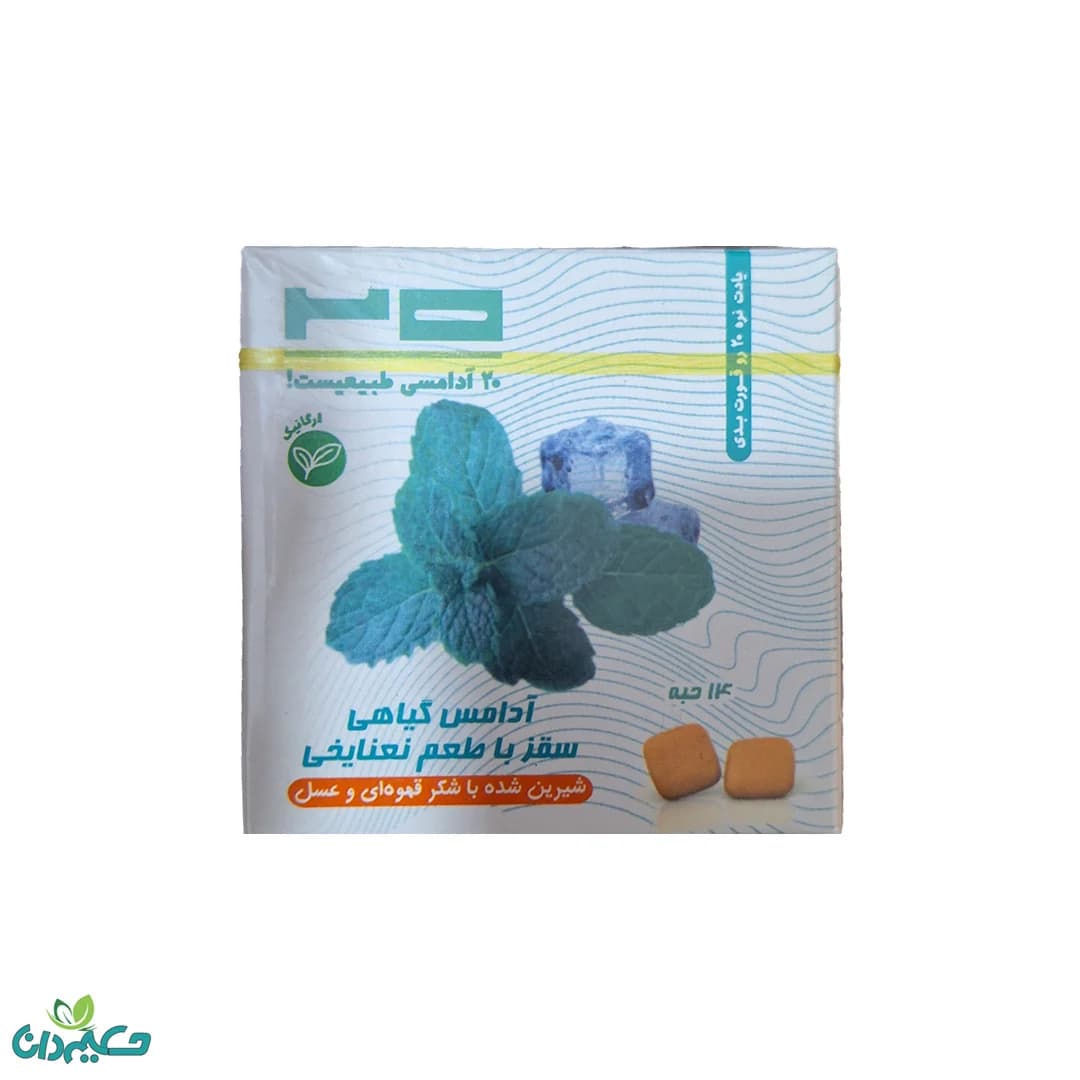آدامس نعنایخی طبیعی 24 گرم — تصویر ۳