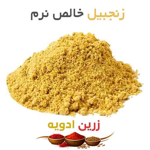 زنجبیل خالص نرم 100 کیلویی — تصویر ۲