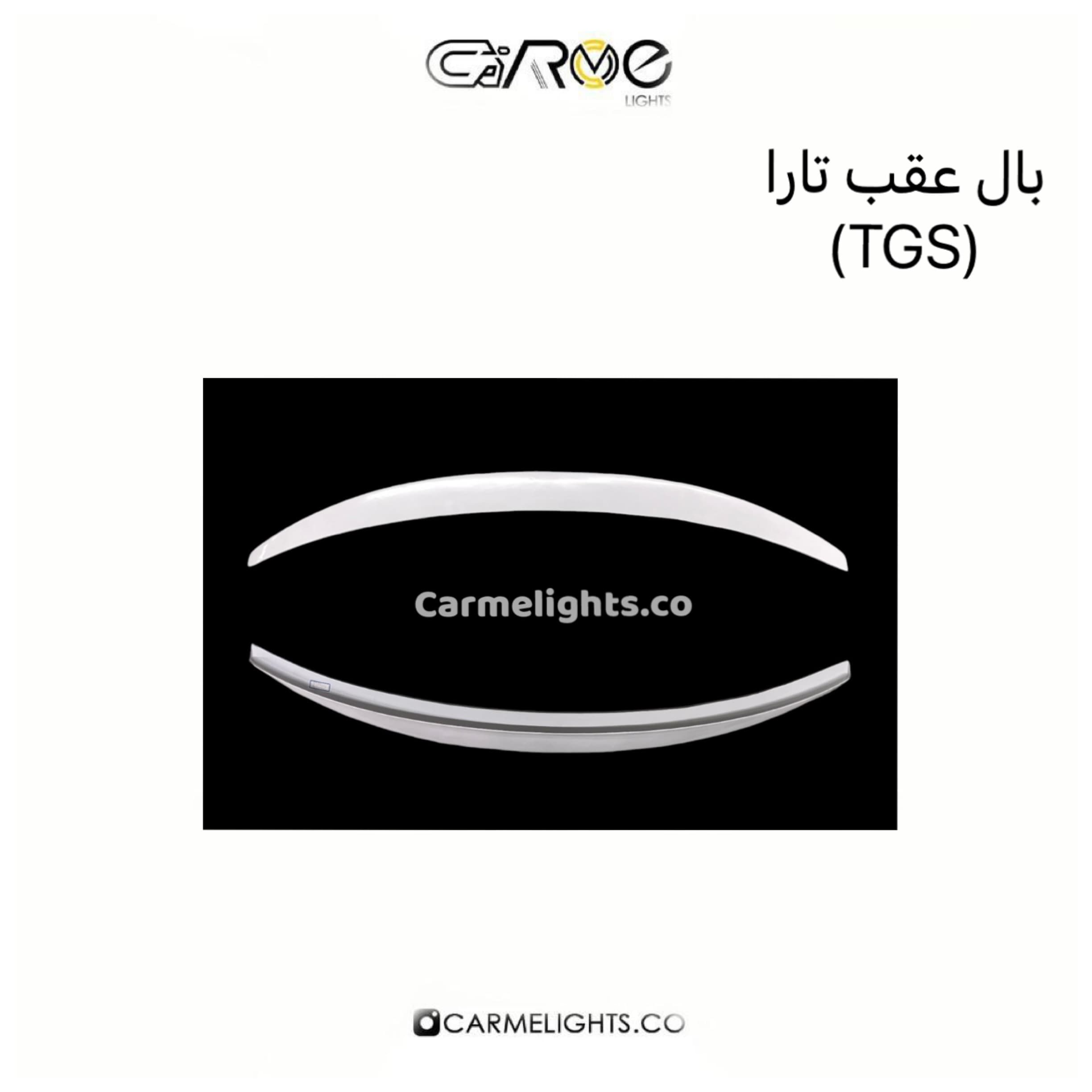 بال عقب تارا (TGS) — تصویر ۲