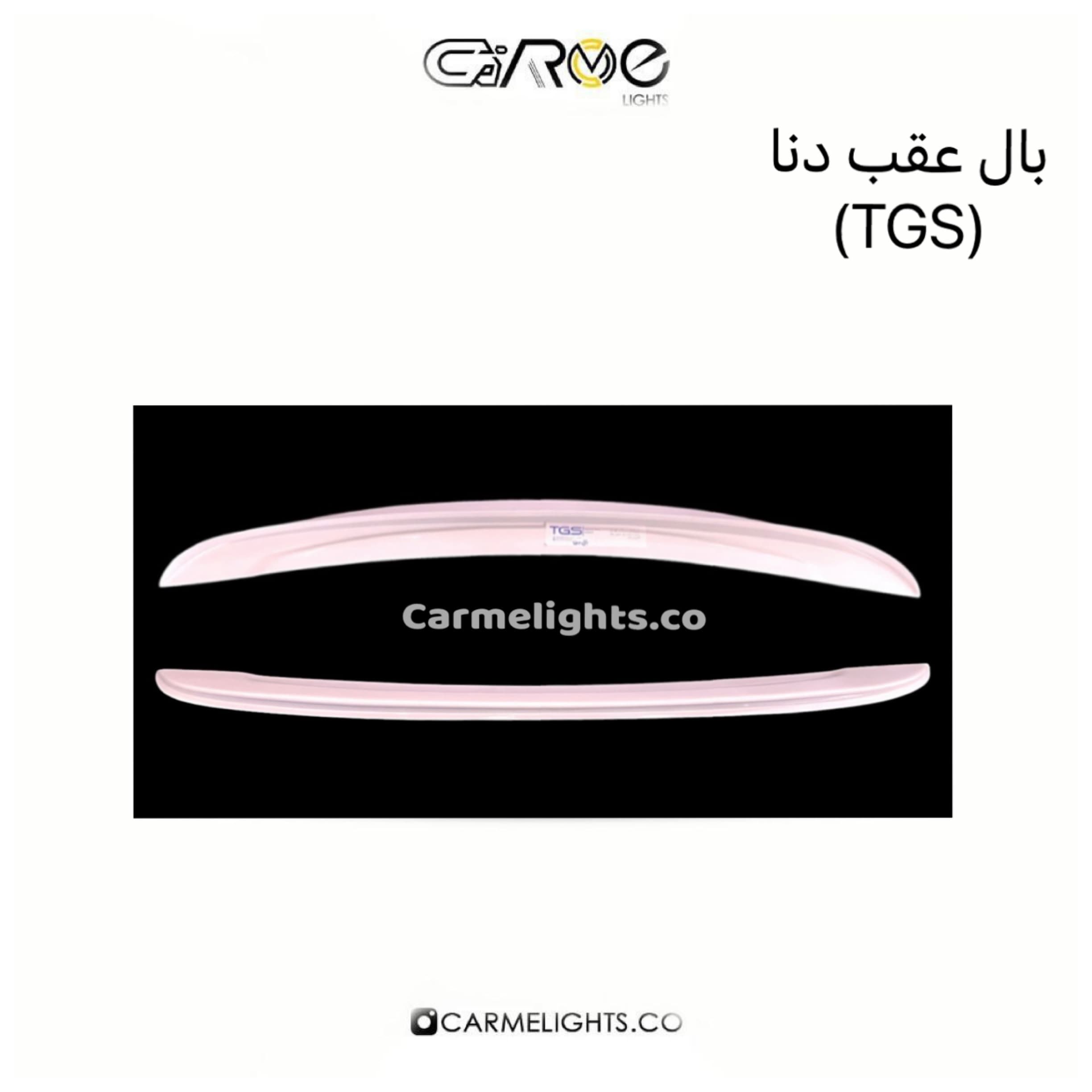 بال عقب دنا (TGS) — تصویر ۲