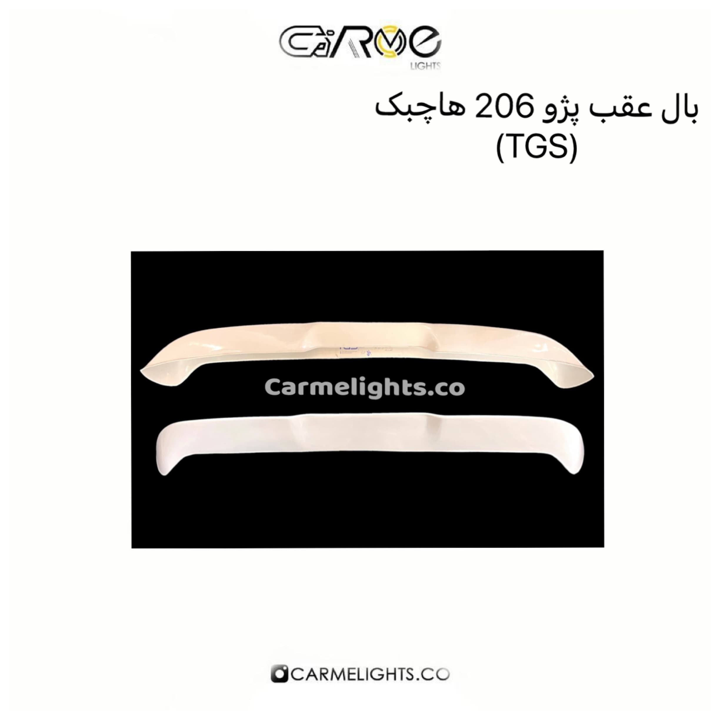 بال عقب 207/206 هاچبک (TGS)
