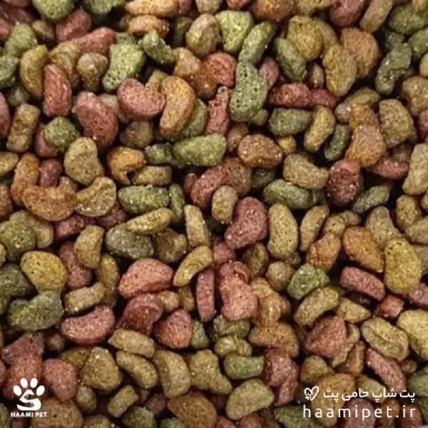 غذای خشک گربه بالغ مولتی کالر پولر ( فله – کیلویی ) — تصویر ۲