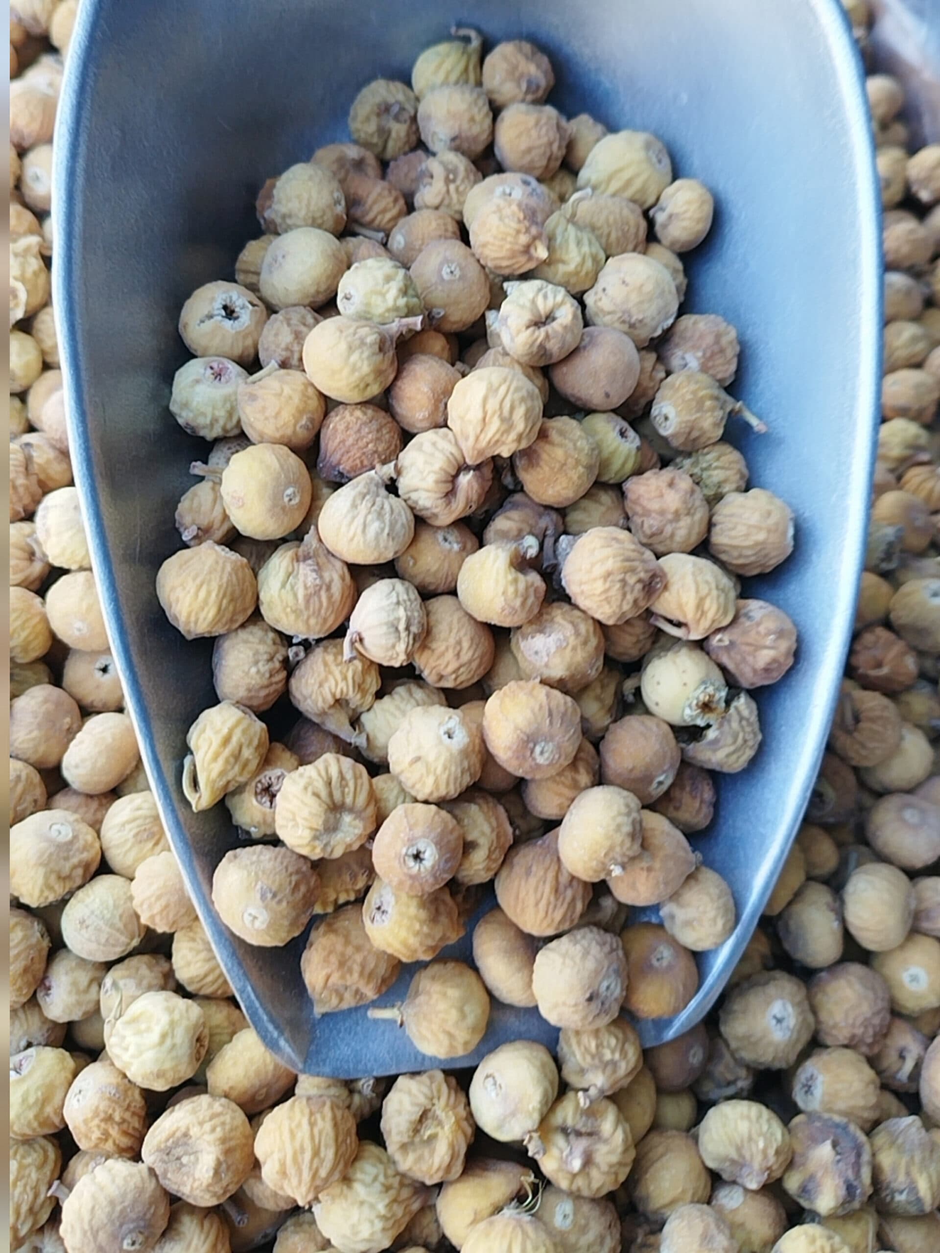 انجیر B نقلی استهبان — تصویر ۲