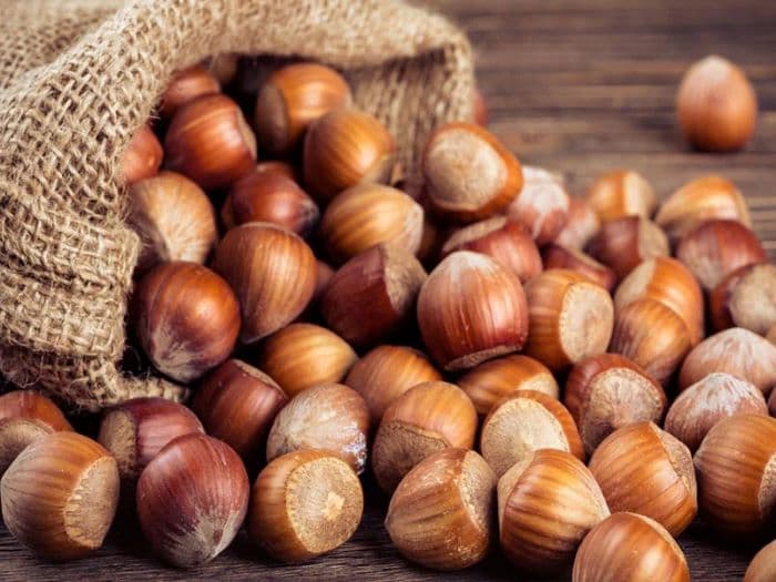 آجیل چهار مغز درجه یک تبریز — تصویر ۷
