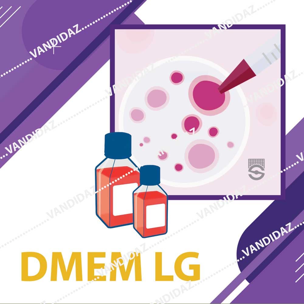محیط کشت DMEM Low Glucose — تصویر ۳