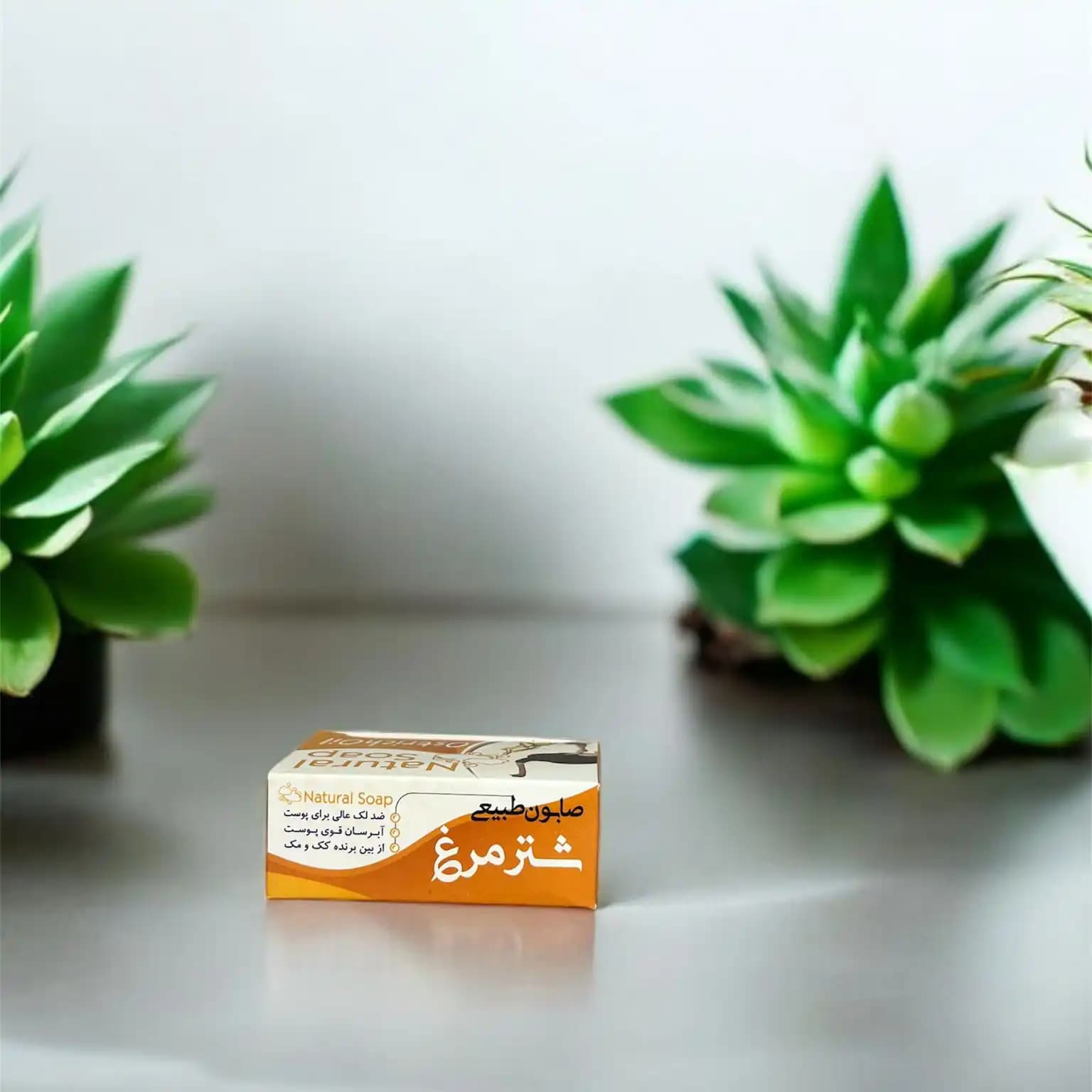 صابون شترمرغ — تصویر ۶