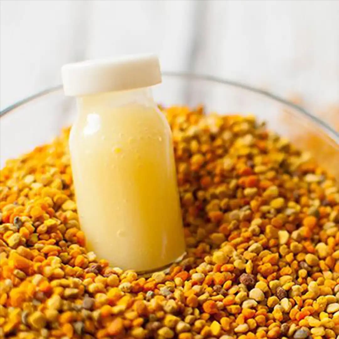 ژل رویال ایرانی 30 گرم 500 گرم عسل
