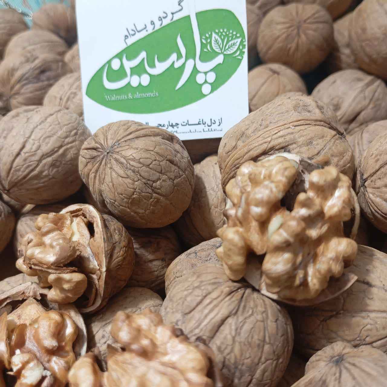 گردوی پوست کاغذی تازه | بدون واسطه | 500 گرم — تصویر ۴
