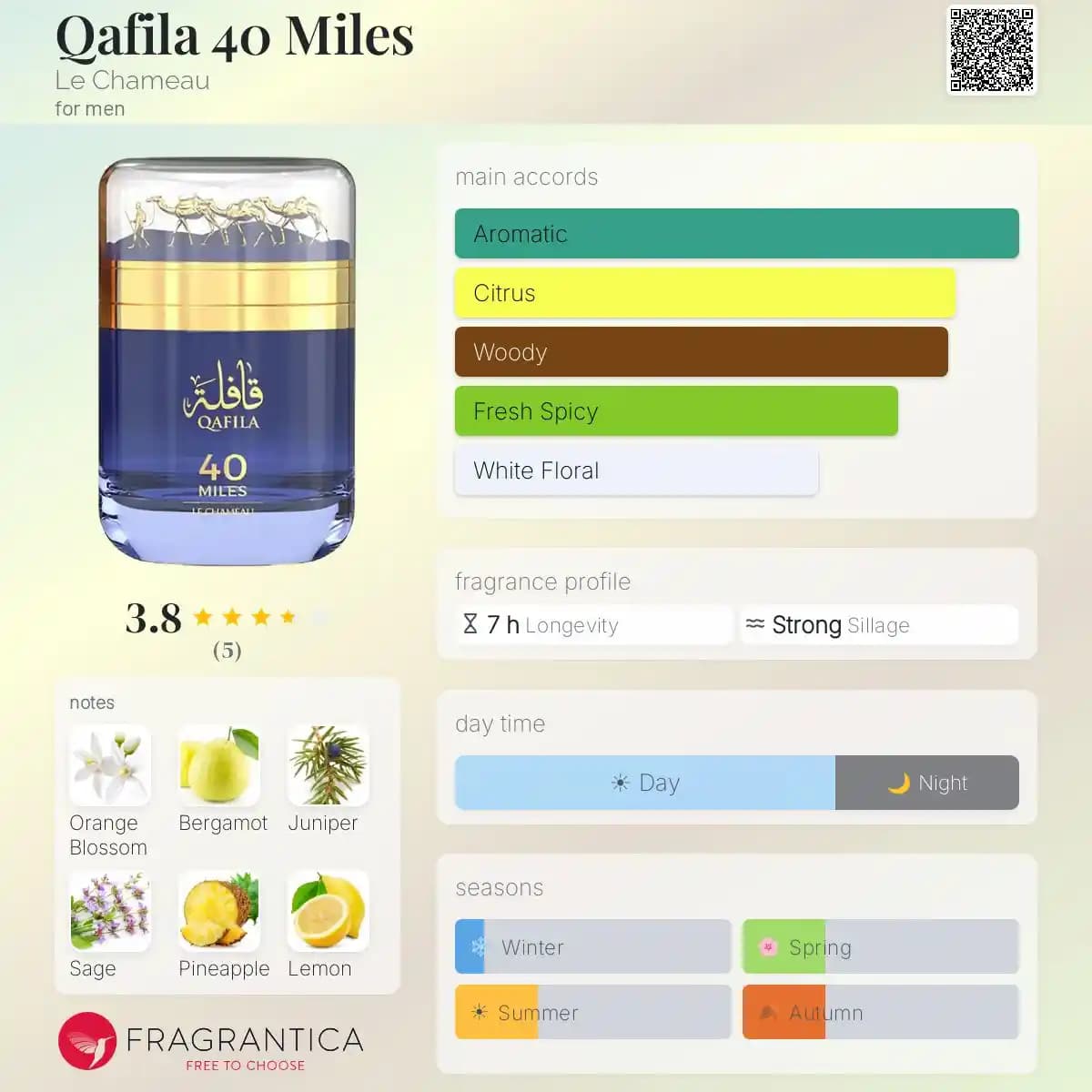 ادکلن قافله ۴۰ مایلز لشامو حجم 100 میلی لیتر اورجینال | LE CHAMEAU Qafila 40 Miles — تصویر ۲