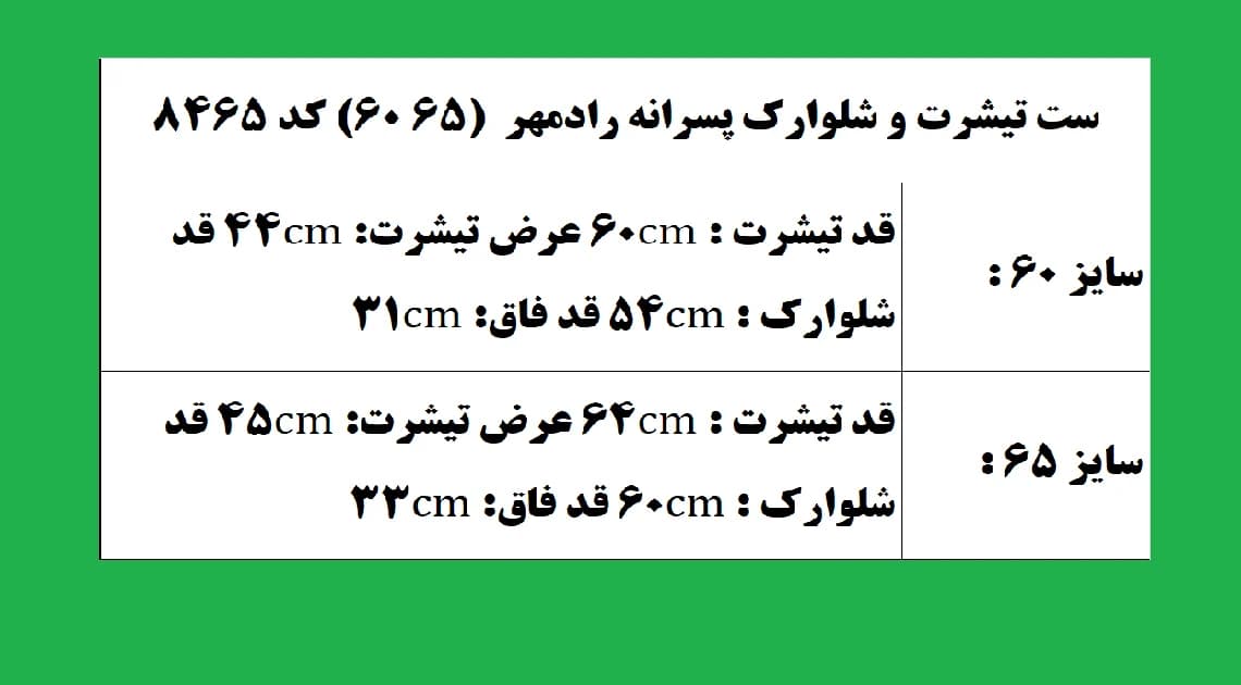 ست تیشرت و شلوارک پسرانه رادمهر (65 60) کد 8465 — تصویر ۲