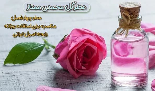 عطر گل محمدی (Rose Perfume) (عطر گرم) — تصویر ۲