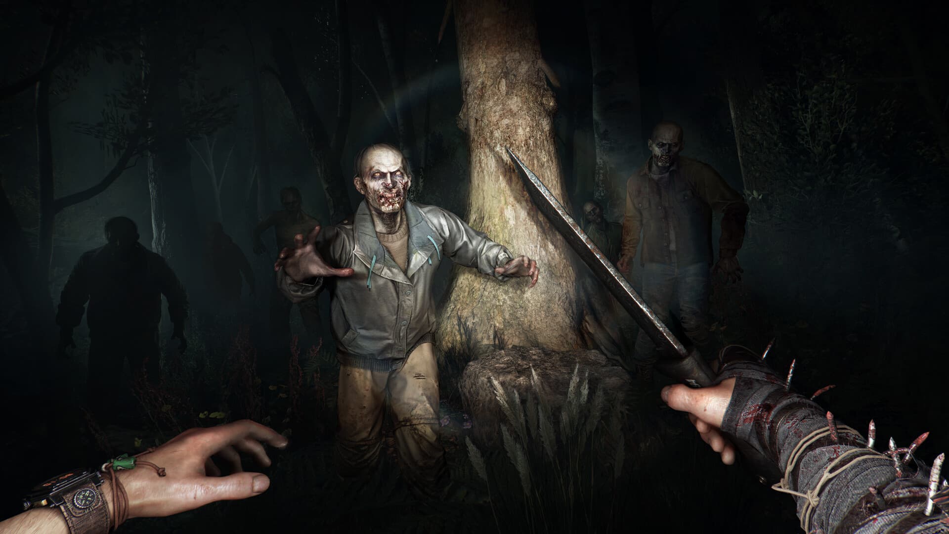 بازی کامپیوتر Dying Light: The Beast — تصویر ۶