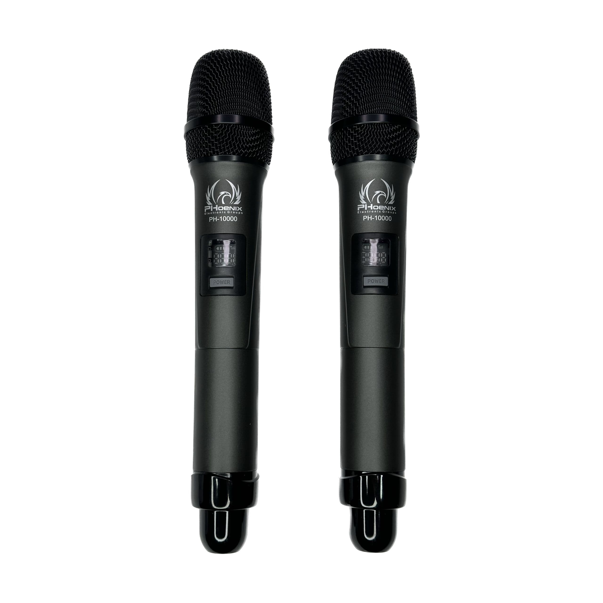 میکروفن بیسیم 2 کانال فونیکس PHOENIX PH-10000