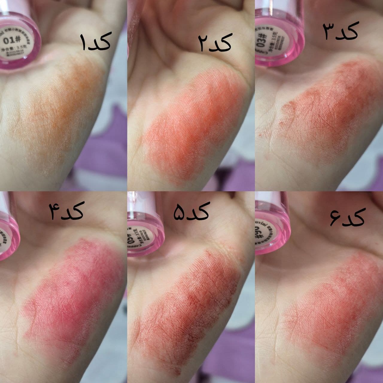 لیپ گلاس استیکی خیس cappuvini رژلب خیس خرسی کیوت کره ای — تصویر ۱۰