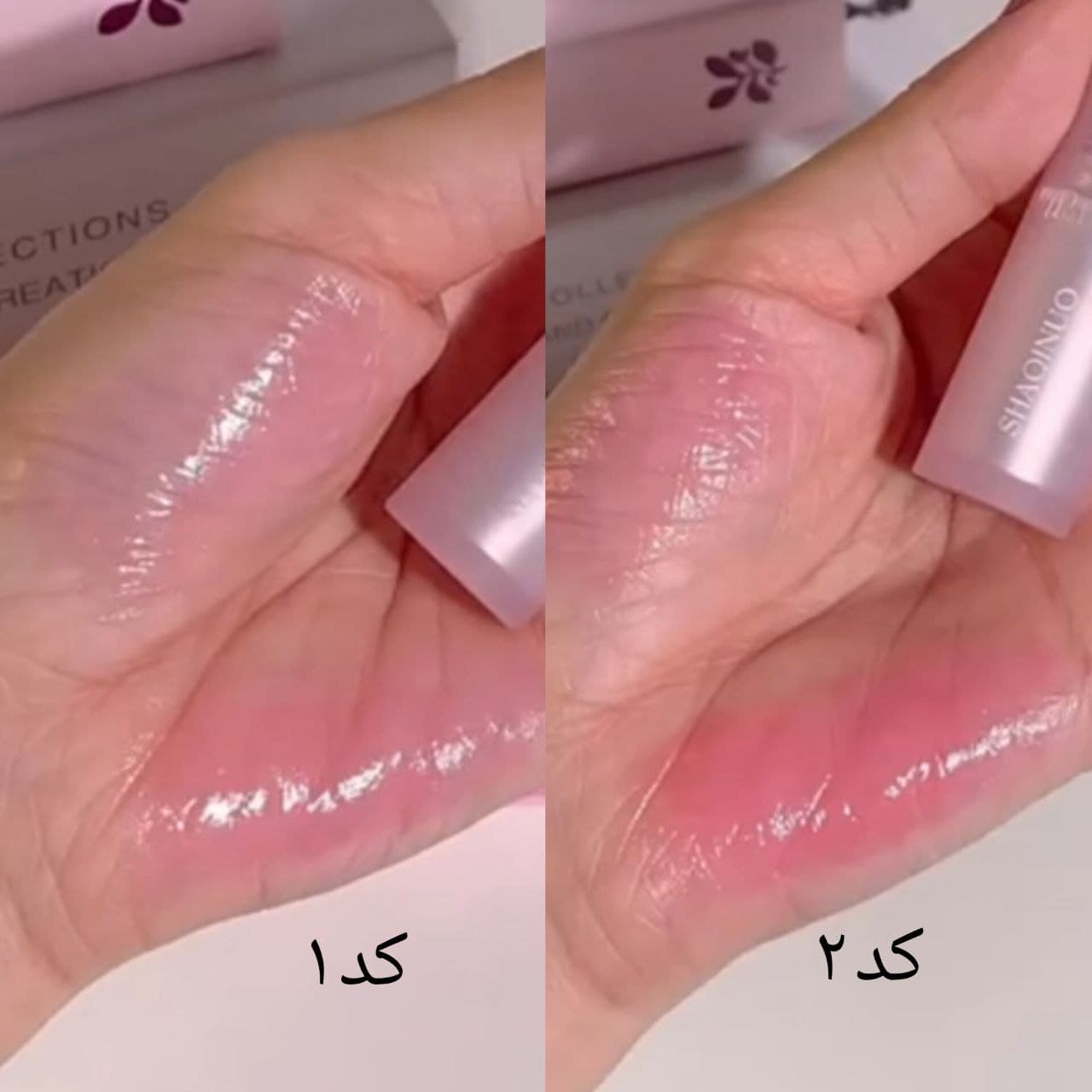 بالم لب پینترستی SHAQINUO اوریجینال — تصویر ۲
