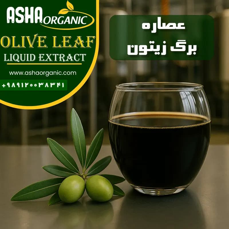 عصاره برگ زیتون — تصویر ۵