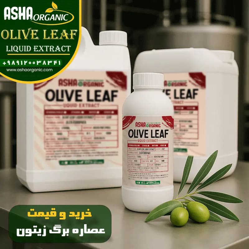 عصاره برگ زیتون — تصویر ۳
