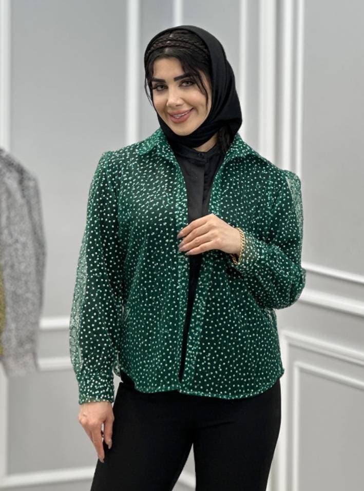 شومیز مجلسی شاین — تصویر ۹