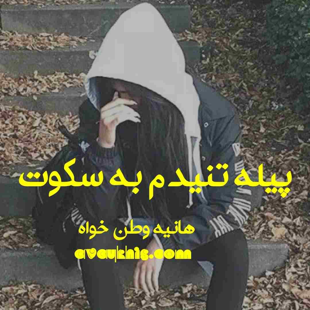 دانلود رمان پیله تنیدم به سکوت از نویسنده هانیه وطن خواه رمان رایگان — تصویر ۲