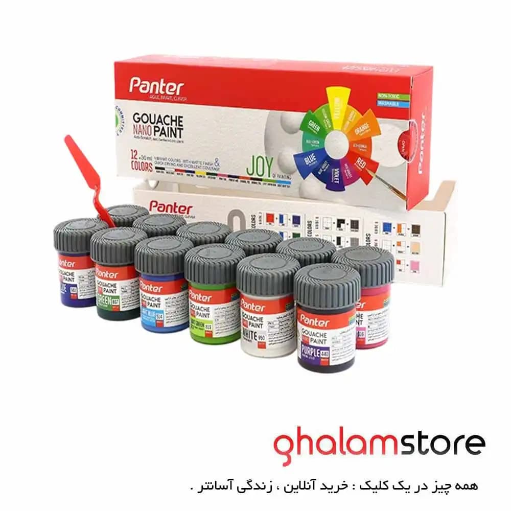 نانو پوشرنگ گواش 12 رنگ پنتر