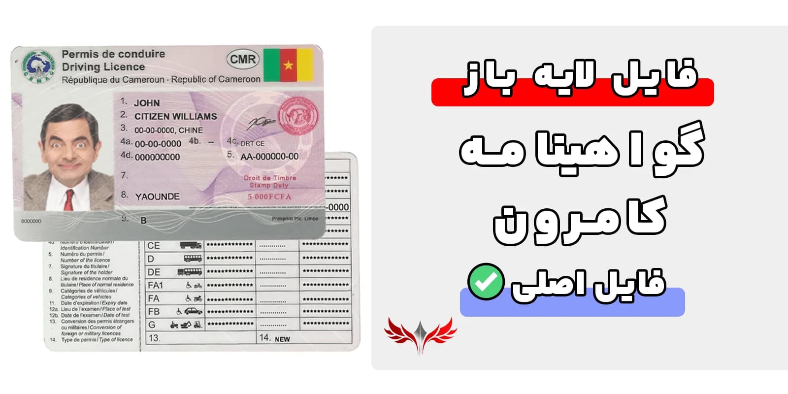 گواهینامه رانندگی کامرون لایه باز — تصویر ۲