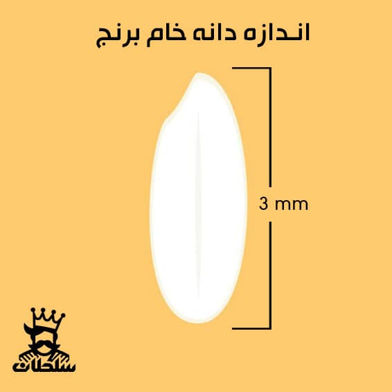 برنج نیم دانه طارم سلطان — تصویر ۸