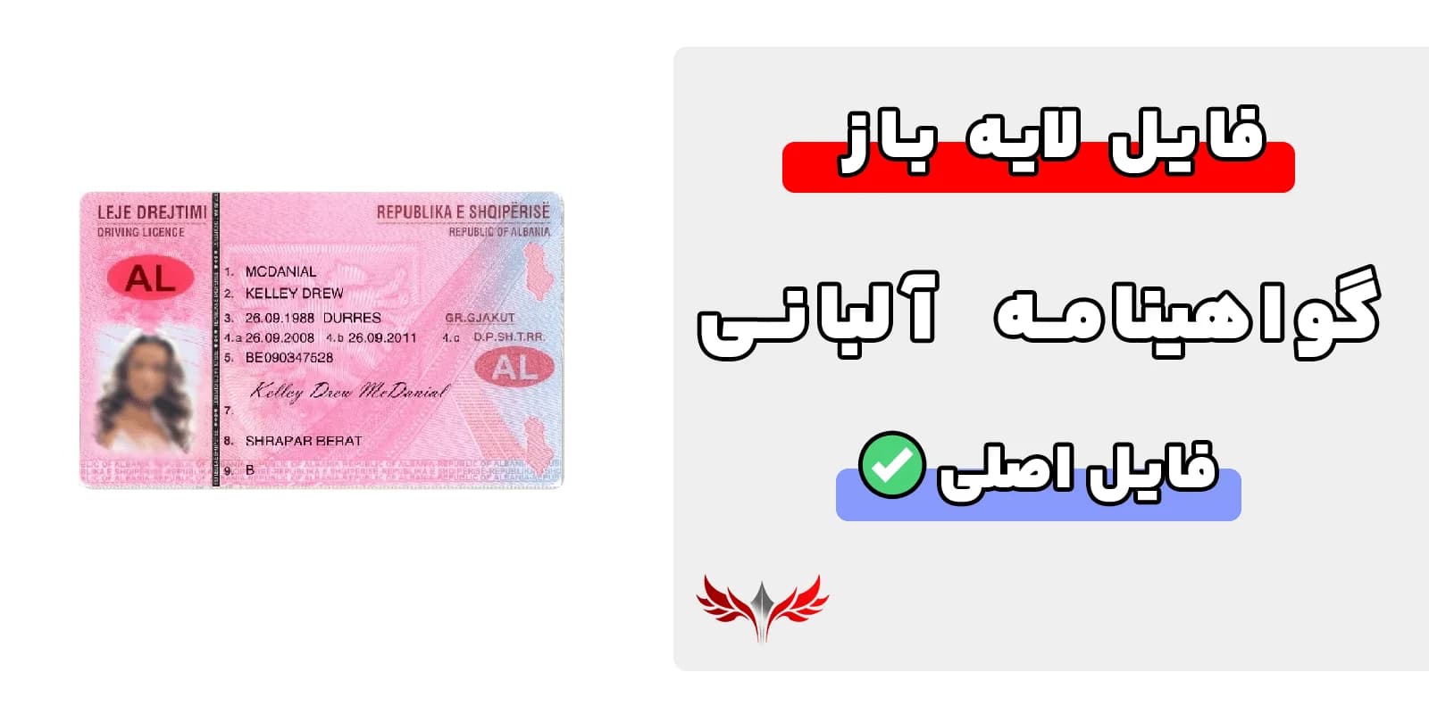 گواهینامه رانندگی آلبانی لایه باز — تصویر ۲