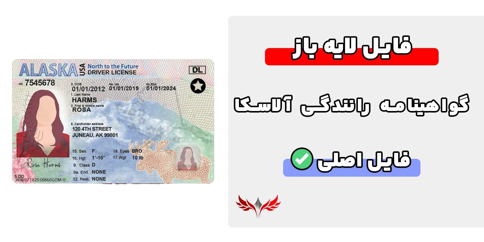 گواهینامه رانندگی آلاسکا لایه باز — تصویر ۲
