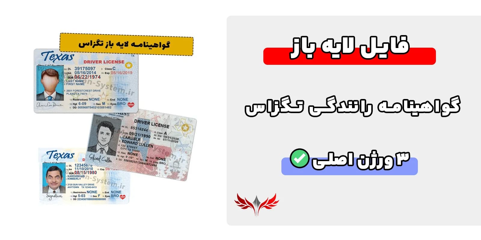گواهینامه رانندگی لایه باز تگزاس — تصویر ۲