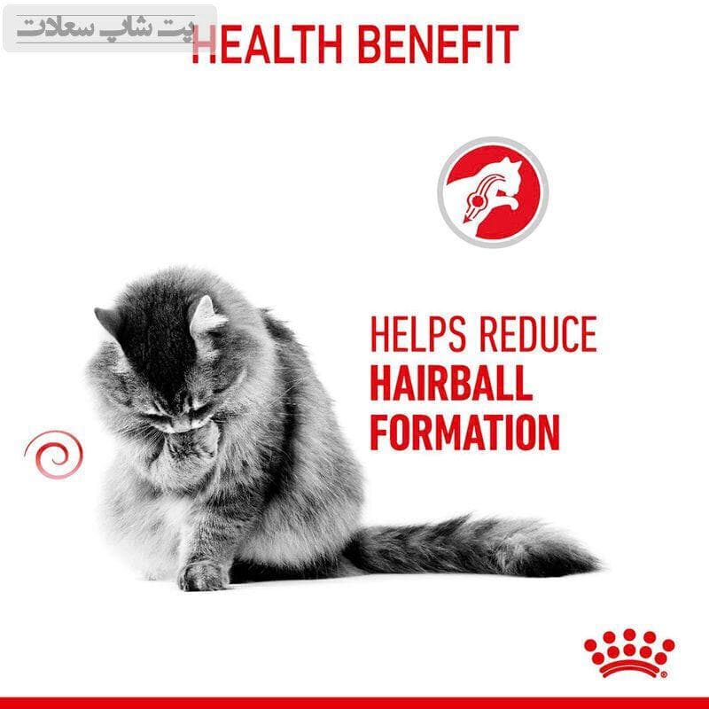 غذای خشک گربه ضد گلولهمویی رویال کنین Royal Canin Hairball Care وزن 10 کیلوگرم — تصویر ۱۱