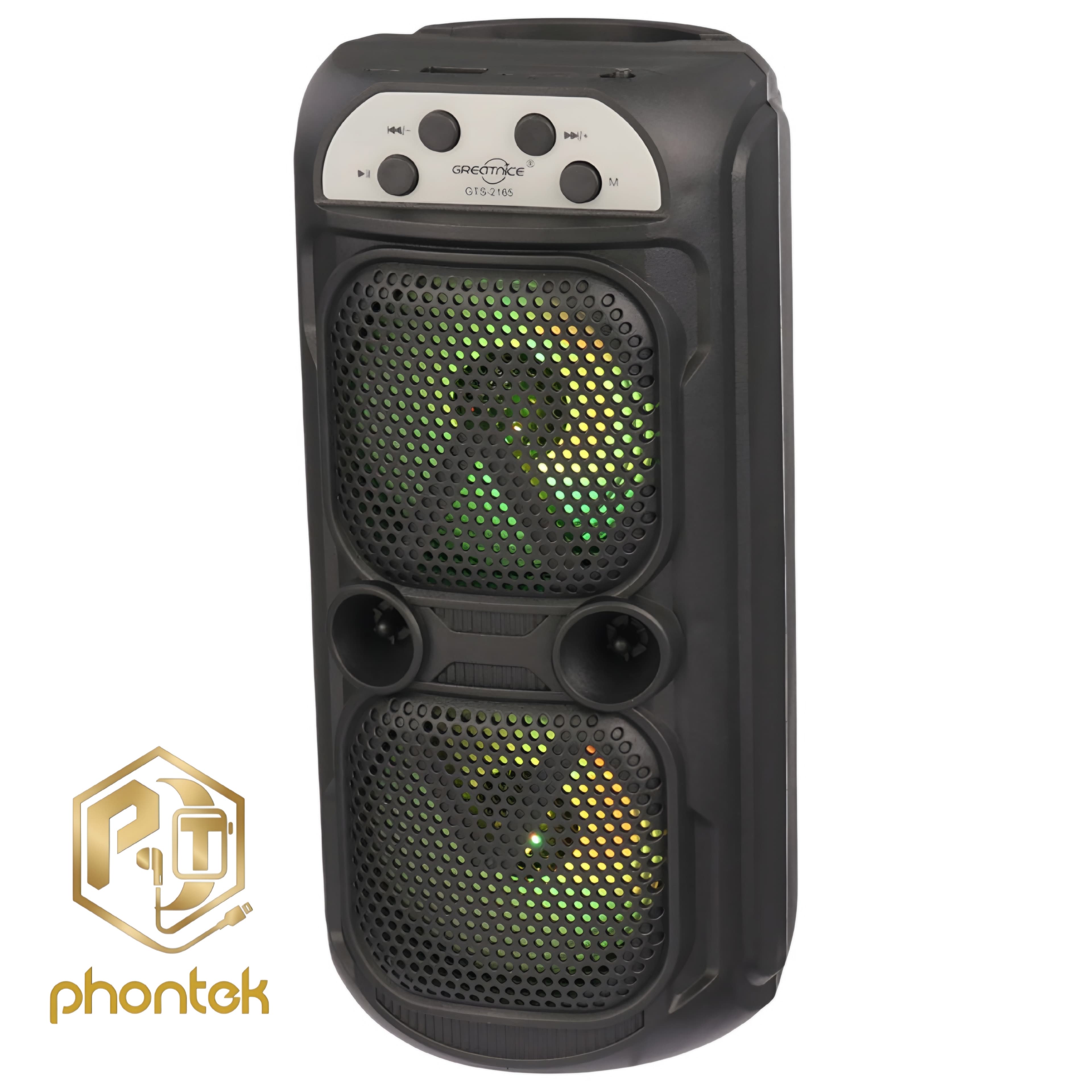 اسپیکر گریت نایس GTS2165