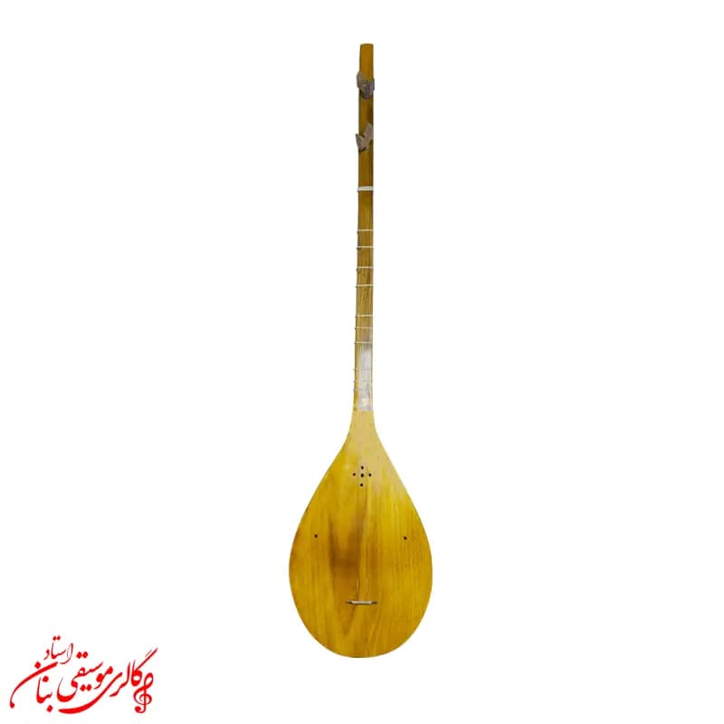 دوتار تربت جام کاسه بزرگ ترکه ای | پرده بندی شده — تصویر ۵