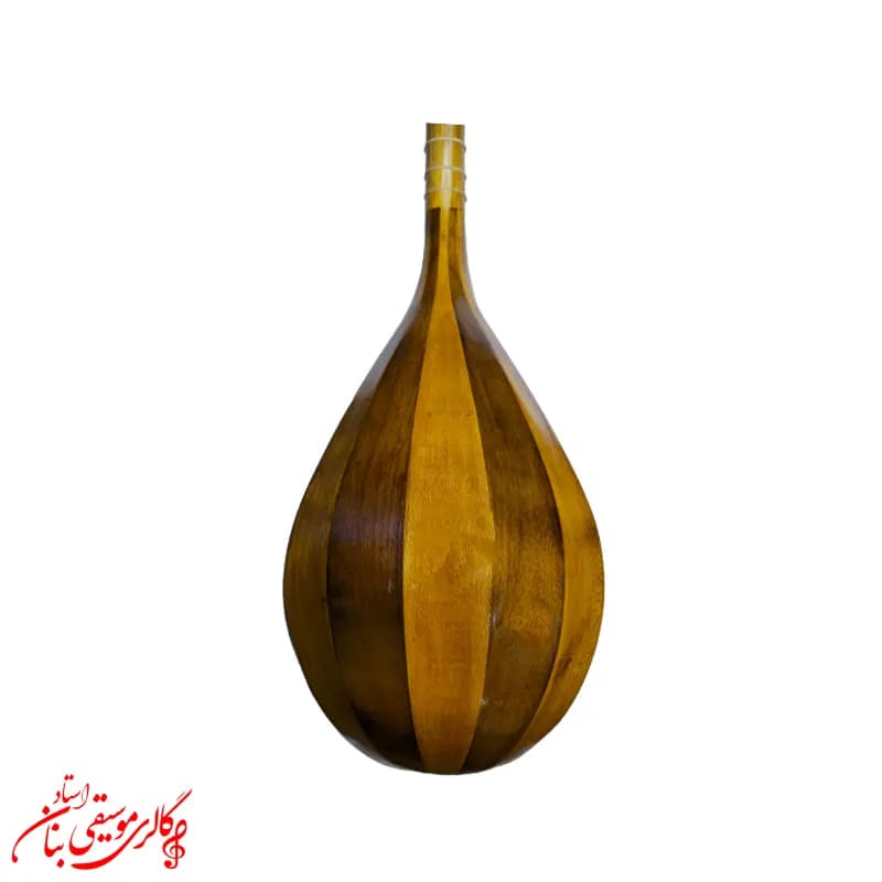 دوتار تربت جام کاسه بزرگ ترکه ای | پرده بندی شده — تصویر ۲